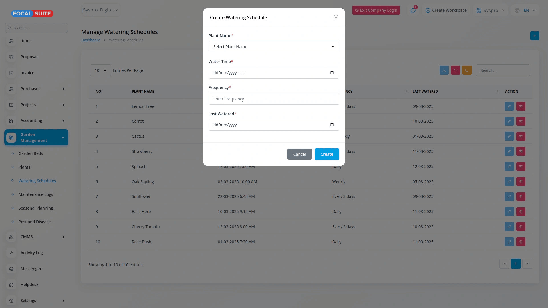 Organic Vegetable Box